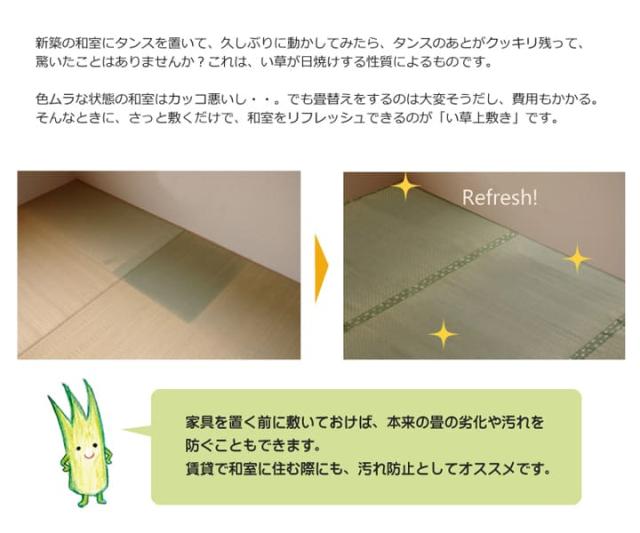 い草引っ敷き 上敷き 6畳 団地間 朦々たる い草引っ敷き 引っ敷き い草 引っ敷き いぐさ 国産 無償性はね除ける ウレタン 夏用 抗菌 防臭 日本製 夏