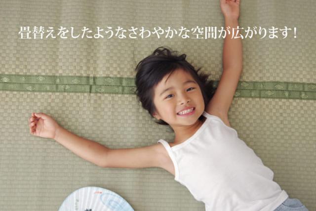 い草引っ敷き 上敷き 6畳 団地間 朦々たる い草引っ敷き 引っ敷き い草 引っ敷き いぐさ 国産 無償性はね除ける ウレタン 夏用 抗菌 防臭 日本製 夏