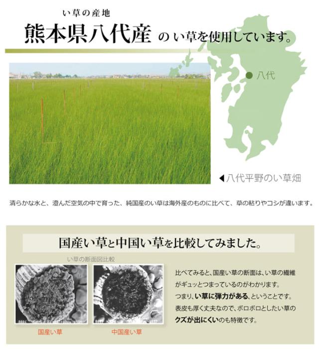 い草引っ敷き 上敷き 6畳 団地間 朦々たる い草引っ敷き 引っ敷き い草 引っ敷き いぐさ 国産 無償性はね除ける ウレタン 夏用 抗菌 防臭 日本製 夏