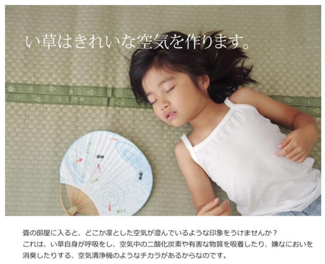 い草引っ敷き 上敷き 6畳 団地間 朦々たる い草引っ敷き 引っ敷き い草 引っ敷き いぐさ 国産 無償性はね除ける ウレタン 夏用 抗菌 防臭 日本製 夏