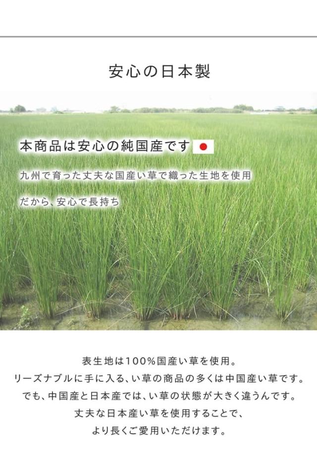 い草ラグ ラグ いぐさ 1.5畳 国産 ウレタン 厚手 裏貼り い草カーペット 夏用 い草 カーペット 日本製 クッション おしゃれ 抗菌 防臭 ござ 夏 長方形の通販は
