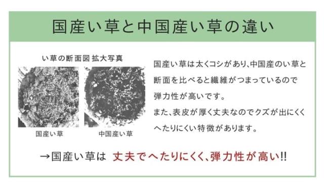 い草ラグ ラグ いぐさ 1.5畳 国産 ウレタン 厚手 裏貼り い草カーペット 夏用 い草 カーペット 日本製 クッション おしゃれ 抗菌 防臭 ござ 夏 長方形の通販は