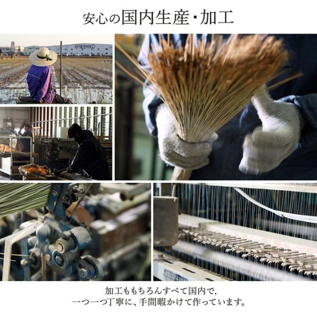 い草ラグ ラグ いぐさ 3畳 江戸間 国産 裏貼り 日本製 い草カーペット 夏用 い草 カーペット 上敷き クッション 畳 おしゃれ 抗菌 防臭 ござ 夏 長方形_9