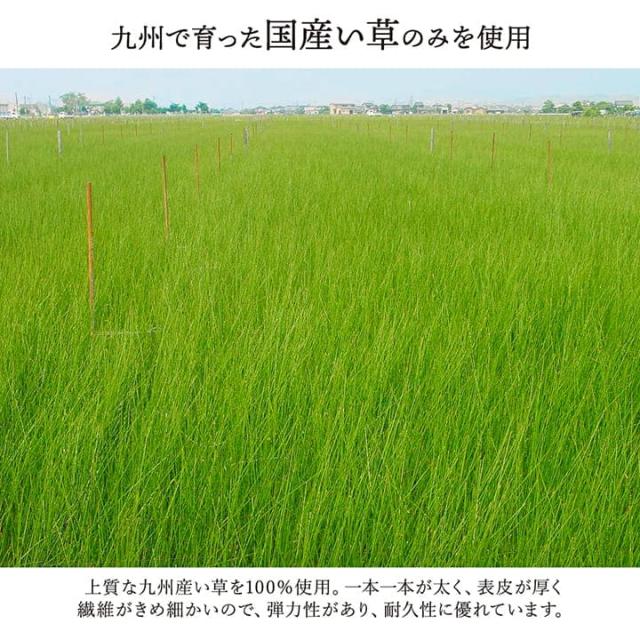 い草ラグ 3畳 本間 い草 カーペット 国産 上敷き い草カーペット ラグ いぐさ 畳 夏用 日本製 おしゃれ 抗菌 防臭 サイズ 三畳 夏 長方形 ござ 上敷き畳_3