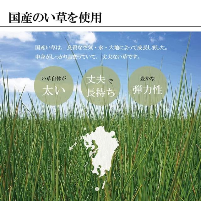 い草ラグ 8畳 江戸間 い草 カーペット 国産 ござ 上敷き畳 厚手 上敷き い草カーペット ラグ いぐさ 畳 夏用 日本製 おしゃれ 抗菌 防臭 夏 サイズ 八畳 長方形_5