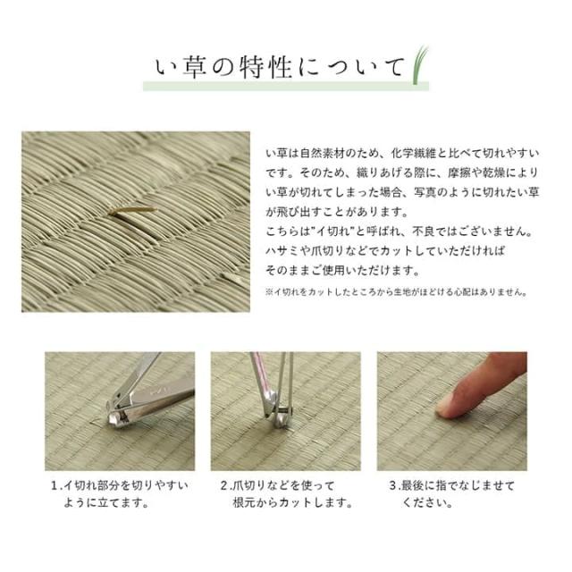い草ラグ ラグ いぐさ 3畳 国産 裏貼り 日本製 い草カーペット 夏用 い草 カーペット 上敷き クッション 畳 おしゃれ 抗菌 防臭 ござ 夏 正方形 190×250_15