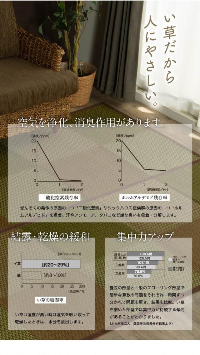 い草ラグ ラグ いぐさ 8畳 江戸間 裏貼り い草カーペット 夏用 い草 カーペット 上敷き クッション 畳 おしゃれ 抗菌 防臭 サイズ ござ 夏 上敷き畳 長方形_4