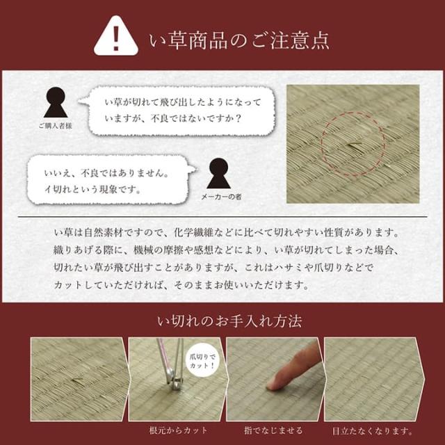 座布団 長座布団 厚手 ごろ寝 クッション 大きい ロング マット 日本製 横長 床置き お昼寝 リビング い草 おしゃれ 長い 座る用 和風 200 90 長方形 国産_14