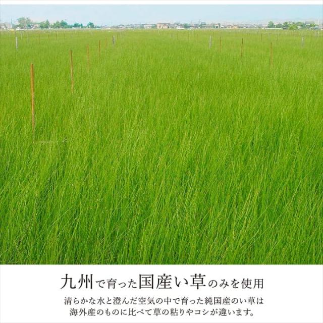 カーペット 6畳 江戸間 夏 い草 ラグ 夏用 ペット 日本製 拭ける 国産 厚手 子供 天然素材 おしゃれ 長方形 通年 オールシーズン いぐさ 和風 抗菌 防臭_10