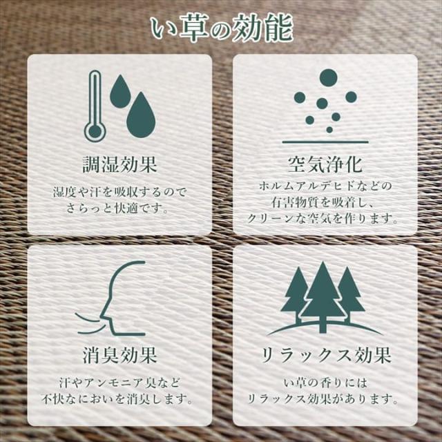 カーペット 6畳 江戸間 夏 い草 ラグ 夏用 ペット 日本製 拭ける 国産 厚手 子供 天然素材 おしゃれ 長方形 通年 オールシーズン いぐさ 和風 抗菌 防臭_8