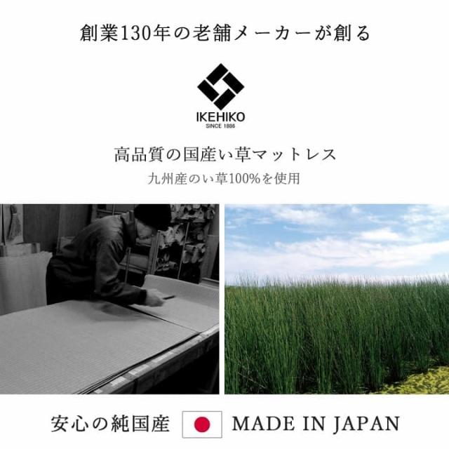 マットレス 三つ折り 日本製 薄型 セミシングル い草 国産 畳 防カビ 軽量 抗菌 折りたたみ コンパクト 直置き 幅80 畳 通気性 和 こたつ ごろ寝 夏 床置き_2