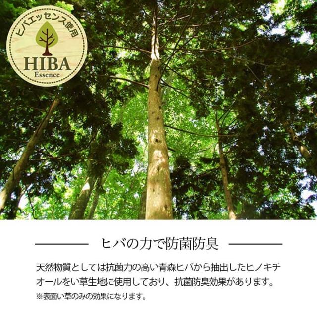 カーペット い草 6畳 本間 格子柄 い草ラグ 裏貼り 滑り止め 夏 い草カーペット ラグ 畳 夏用 おしゃれ 抗菌 防臭 いぐさ サイズ 六畳 長方形 和風 花ござ_7