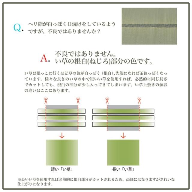 い草ラグ ラグ いぐさ 3畳 国産 裏貼り い草カーペット 夏用 い草 カーペット 日本製 滑り止め 床暖房 畳 おしゃれ 抗菌 防臭