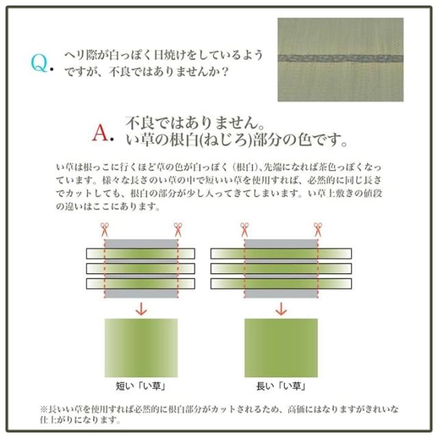 い草引っ敷き 上敷き 4畳半 日本の首都間 い草引っ敷き 引っ敷き い草 引っ敷き いぐさ 国産 畳 夏用 格好のいい 抗菌 防臭 日本製 大きさ 四畳半 夏 まっ四角 リヴァーシブル