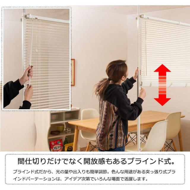 インドアイアン脚立型スタンド 分かつ