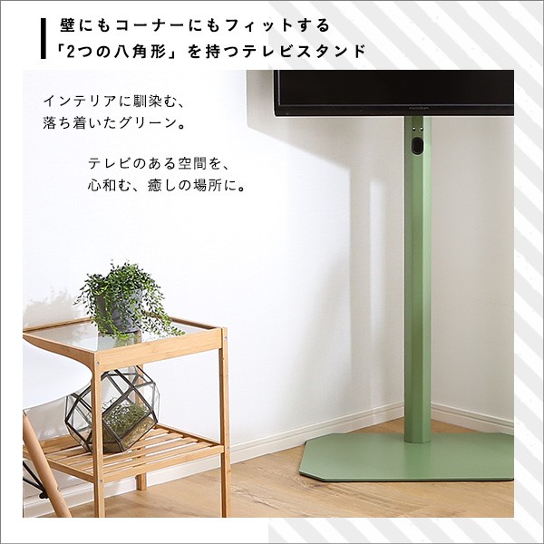 北欧インテリア 八角テレビスタンドハイタイプ専用 ハードディスクホルダーセット テレビスタンド テレビ台 TV台 北欧 ナチュラル シンプル TVスタンド 壁掛け 壁寄せ スイング おしゃれ ピンク ホワイト グリーン ブラック スチール インテリア_4