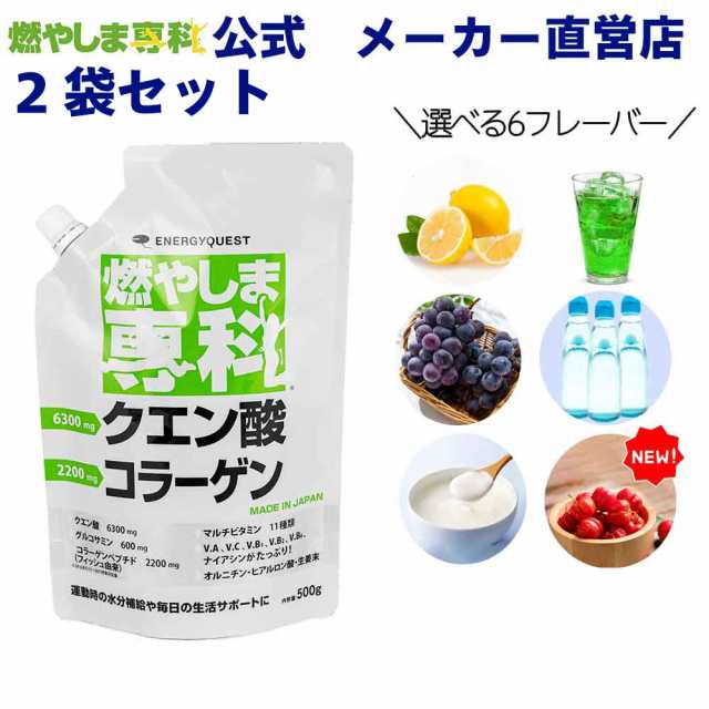 燃やしま専科 選べるフレーバー 500g 　2袋セット　スポーツドリンク 粉末 パウダー 粉 クエン酸 ダイエット サプリメント マルチビタミ