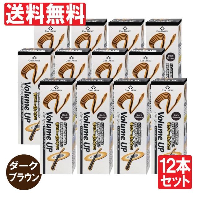 増毛スプレー ダークブラウン ヘアスプレー 瞬間増毛 薄毛 抜毛 対策 ボリュームアップ 200ｇ 12本セット 送料無料