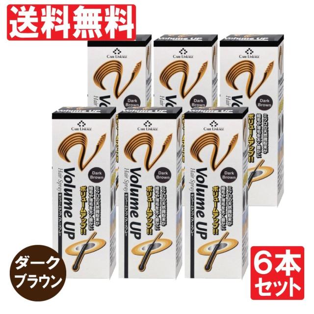 増毛スプレー ダークブラウン ヘアスプレー 瞬間増毛 薄毛 抜毛 対策 ボリュームアップ 200ｇ 6本セット 送料無料