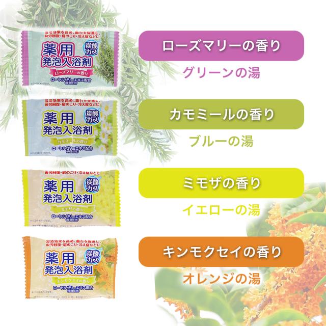 入浴剤 薬用発泡入浴剤 バスリフレ 8種類の香り 288錠入（8種類×6錠×6箱）発泡 フルーツ&フラワー プレゼント ギフト 医薬部外品_2