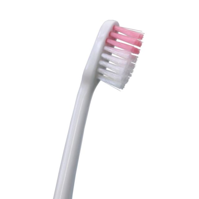 歯ブラシ ストレートカット ふつう 120本セット Dr.Denlist デンリスト 4ｍｍ薄型ヘッド 色おまかせ お徳パック 大容量_8