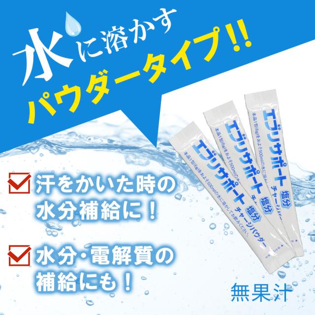 塩分チャージ パウダー 粉末 10包入 ×50袋 エブリサポート 無果汁 日本薬剤 清涼飲料水_1