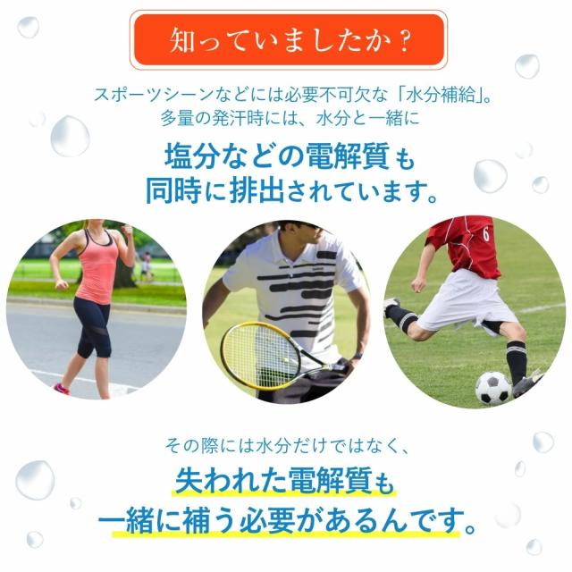 塩分チャージ パウダー 粉末 10包入 ×50袋 エブリサポート 無果汁 日本薬剤 清涼飲料水_2