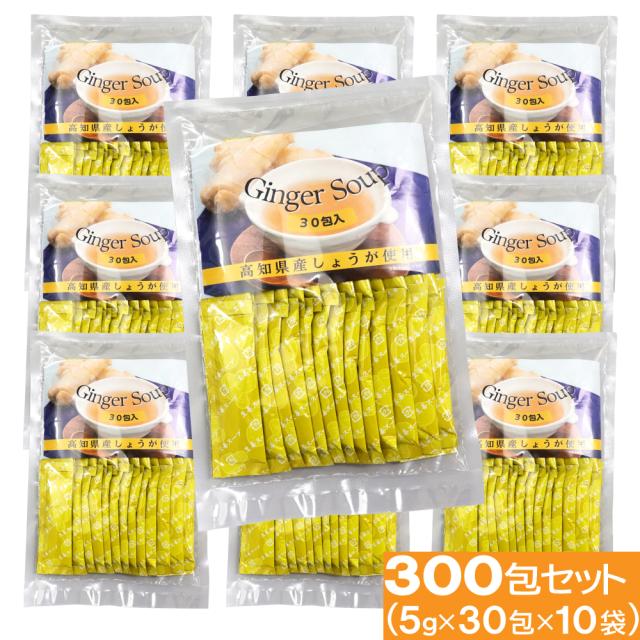 生姜スープ 30包 10袋セット 高知県産 生姜使用 送料無料