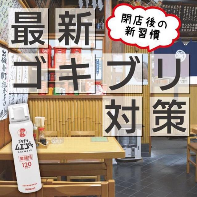 ゴキブリ駆除剤 業務用 ゴキブリムエンダー 52mL ×10本セット 約1200回プッシュ 空間定量噴射式殺虫剤 大容量 キンチョウの通販は ゴキブリ駆除剤 業務用 ゴキブリムエンダー 52mL ×10本セット 約1200回プッシュ 空間定量噴射式殺虫剤 大容量 キンチョウの通販は