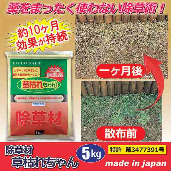 5 Offクーポンあり 除草材 草枯れちゃん 5kg 除草剤 強力 安全 雑草駆除 墓掃除 雑草 ガーデニング 庭 雑草防止の通販はau Pay マーケット 美活応援店 アットシュシュ Au Pay マーケット店