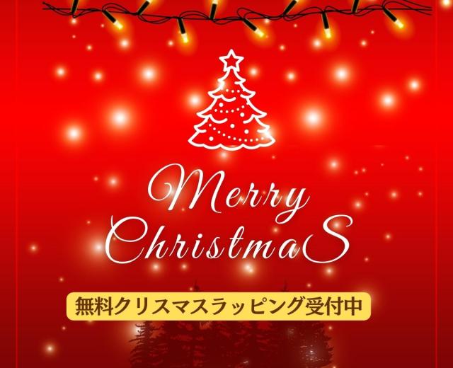 ギフトボックス アクセサリー ラッピング 箱 緑 リボン 贈り物 サプライズ クリスマス 誕生日 記念日 彼女 彼氏 ハロウィン クリスマスの通販はau Pay マーケット 1個売りピアスの専門店 Can Lino
