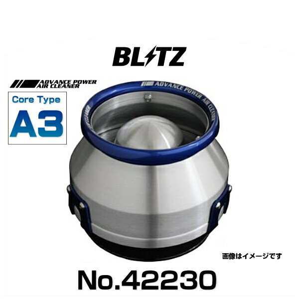 お求めやすく価格改定 BLITZ ブリッツ No.42230 アドバンスパワーエア