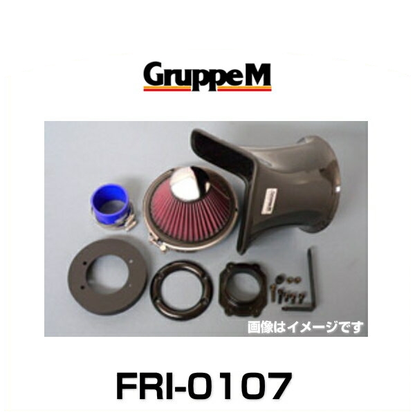GruppeM グループエム FRI-0107 RAM AIR SYSTEM ラムエアシステム BMW用