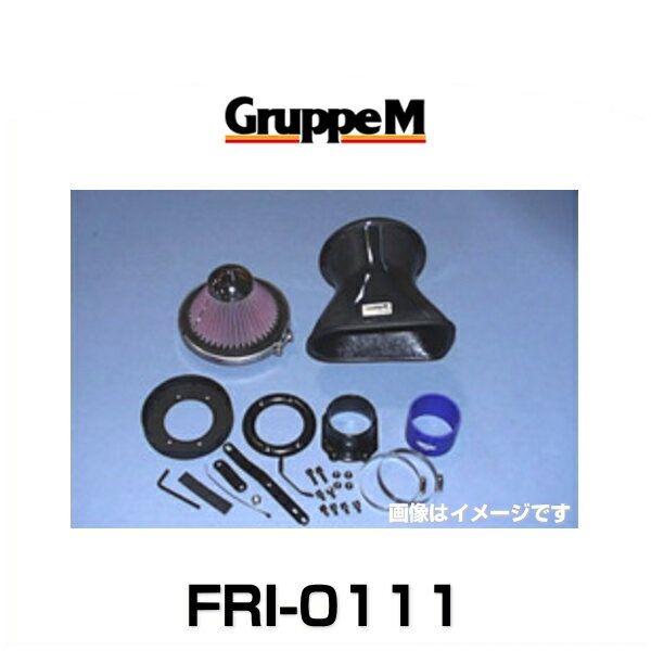 GruppeM グループエム FRI-0111 RAM AIR SYSTEM ラムエアシステム BMW