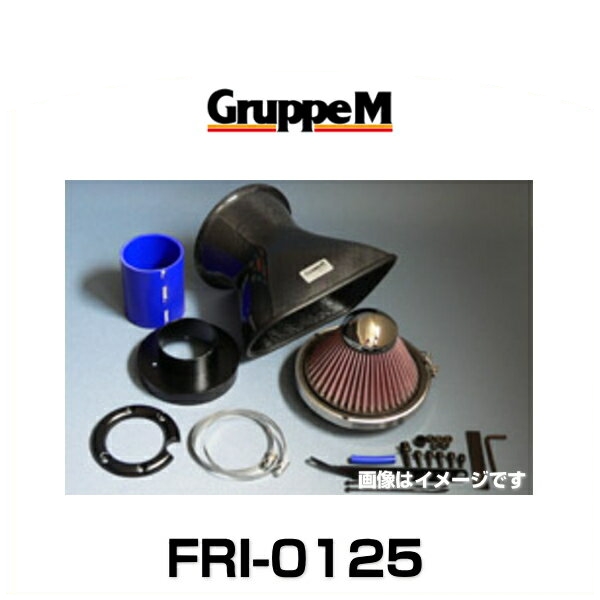 GruppeM グループエム FRI-0125 RAM AIR SYSTEM ラムエアシステム メルセデスベンツ用の通販は