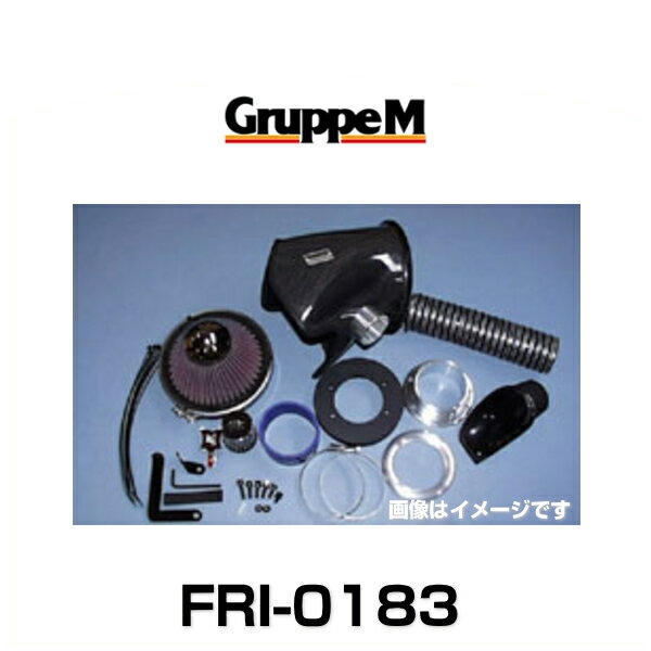 GruppeM グループエム FRI-0183 RAM AIR SYSTEM ラムエアシステム アウディ用