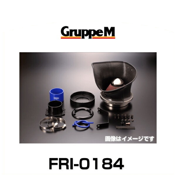 GruppeM グループエム FRI-0184 RAM AIR SYSTEM ラムエアシステム アウディ用