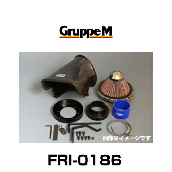 GruppeM グループエム FRI-0186 RAM AIR SYSTEM ラムエアシステム アウディ用