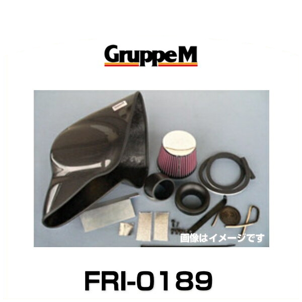 GruppeM グループエム FRI-0189 RAM AIR SYSTEM ラムエアシステム アウディ用の通販は
