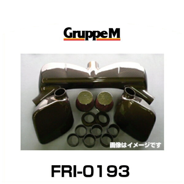 GruppeM グループエム FRI-0193 RAM AIR SYSTEM ラムエアシステム アストンマーティン用