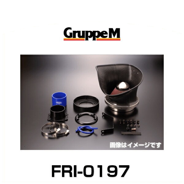 GruppeM グループエム FRI-0197 RAM AIR SYSTEM ラムエアシステム アウディ用