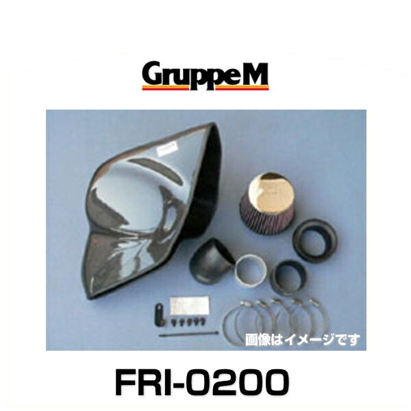 GruppeM グループエム FRI-0200 RAM AIR SYSTEM ラムエアシステム フォルクスワーゲン用の通販は