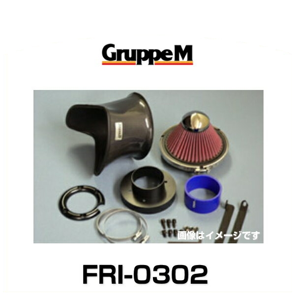 GruppeM グループエム FRI-0302 RAM AIR SYSTEM ラムエアシステム BMW用の通販は