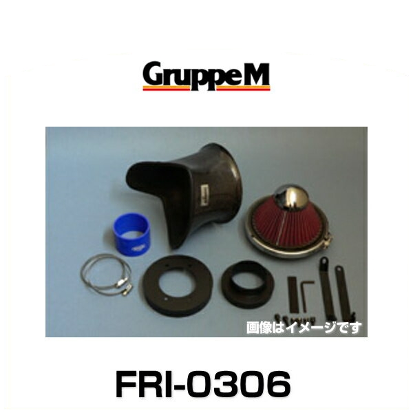 GruppeM グループエム FRI-0306 RAM AIR SYSTEM ラムエアシステム BMW用