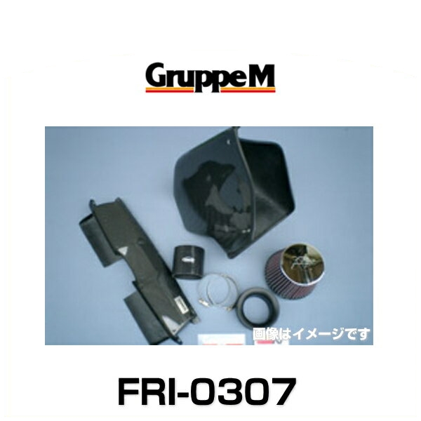 GruppeM グループエム FRI-0307 RAM AIR SYSTEM ラムエアシステム BMW用の通販は