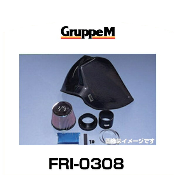 GruppeM グループエム FRI-0308 RAM AIR SYSTEM ラムエアシステム BMW用