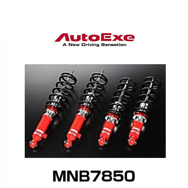 目玉商品 オートエクゼ AutoExe ストリートスポーツサスキット AutoExe