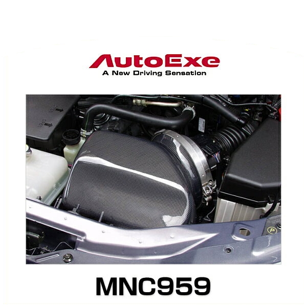 AutoExe オートエクゼ NCA1V5900（MNC959） ラムエアーインテークシステム ロードスター（NCEC〜304864）