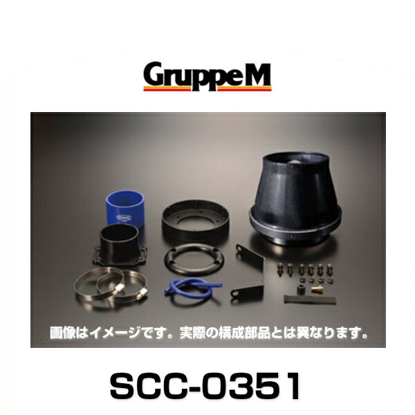 GruppeM グループエム SCC-0351 SUPER CLEANER CARBON スーパー