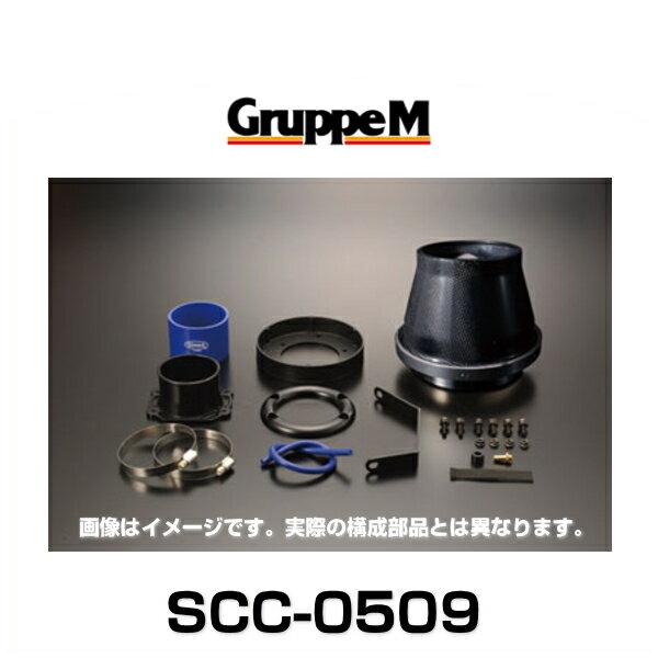 GruppeM グループエム SCC-0509 SUPER CLEANER CARBON スーパークリーナーカーボン ホンダ